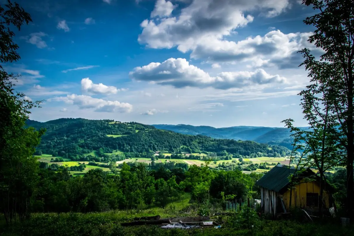 Paysage de collines boisées et de campagne québécoise